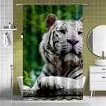 White Tiger Shower Curtain 48  x 72  (Small)