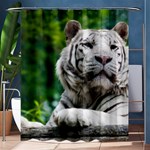 White Tiger Shower Curtain 60  x 72  (Medium)
