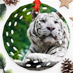 White Tiger Ornament (Round Filigree)