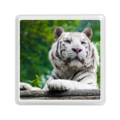 White Tiger Memory Card Reader (Square) from ArtsNow.com Front