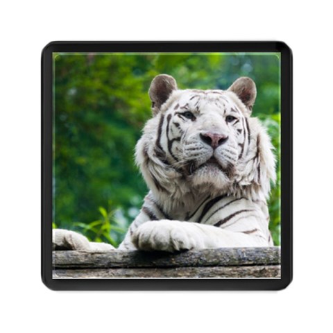 White Tiger Memory Card Reader (Square) from ArtsNow.com Front