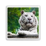 White Tiger Memory Card Reader (Square)