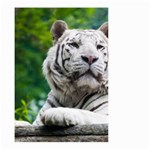 White Tiger Small Garden Flag (Two Sides)