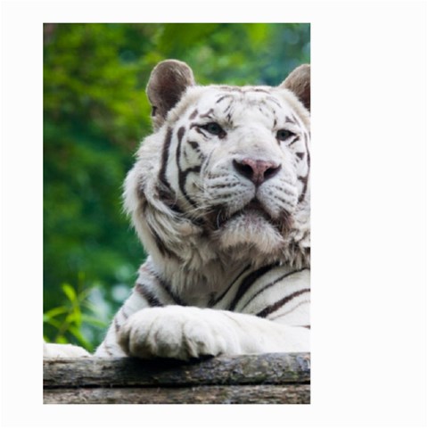 White Tiger Large Garden Flag (Two Sides) from ArtsNow.com Front