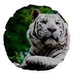 White Tiger Large 18  Premium Round Cushion 