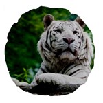White Tiger Large 18  Premium Flano Round Cushion 
