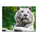 White Tiger Double Sided Flano Blanket (Mini)