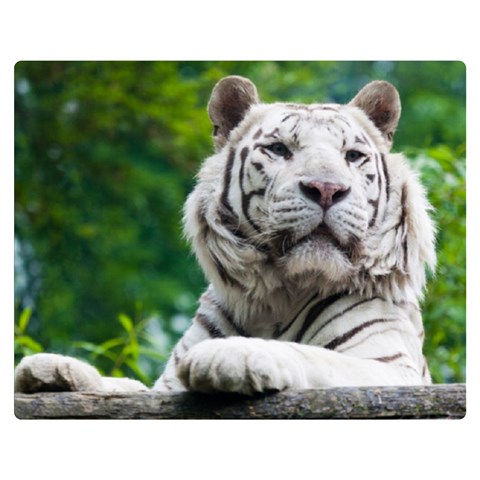White Tiger Double Sided Flano Blanket (Medium) from ArtsNow.com 60 x50  Blanket Front