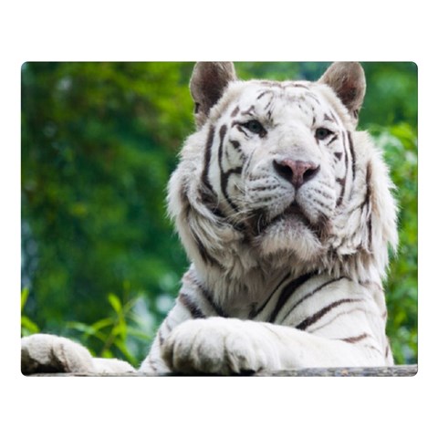 White Tiger Double Sided Flano Blanket (Large) from ArtsNow.com 80 x60  Blanket Front