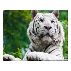 White Tiger Double Sided Flano Blanket (Large) from ArtsNow.com Blanket Back