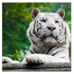 White Tiger Large Satin Scarf (Square)