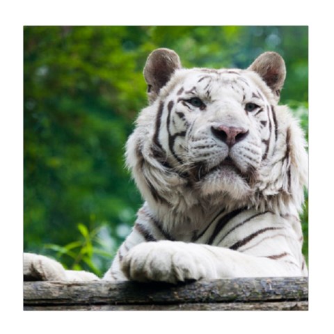 White Tiger Duvet Cover (Queen Size) from ArtsNow.com Front