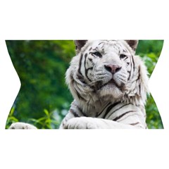 White Tiger Yoga Cropped Leggings from ArtsNow.com Waistband Front