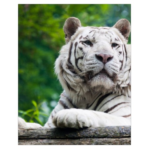 White Tiger Drawstring Pouch (XL) from ArtsNow.com Front