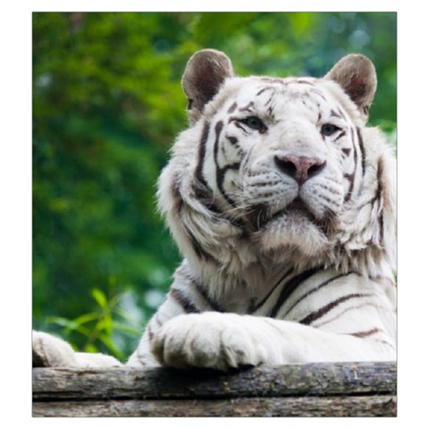 White Tiger Drawstring Pouch (XXL) from ArtsNow.com Front