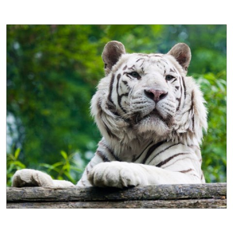White Tiger Medium Zipper Tote Bag from ArtsNow.com Back