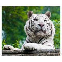 White Tiger Medium Zipper Tote Bag from ArtsNow.com Back