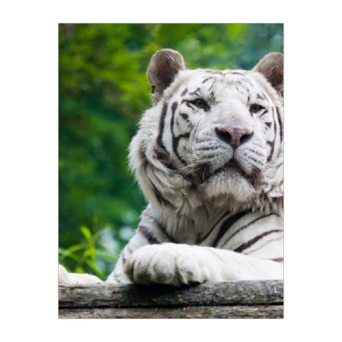 White Tiger Medium Tapestry from ArtsNow.com Front