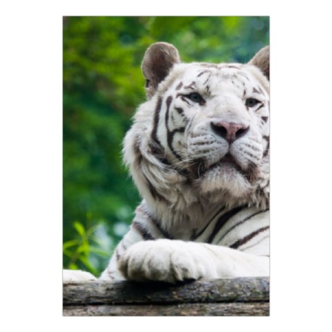 White Tiger Large Tapestry from ArtsNow.com Front
