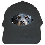 Rotwieller Black Cap