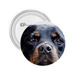 Rotwieller 2.25  Button