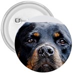 Rotwieller 3  Button