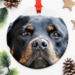 Rotwieller Ornament (Round)