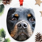 Rotwieller Ornament (Oval)