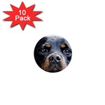 Rotwieller 1  Mini Button (10 pack) 