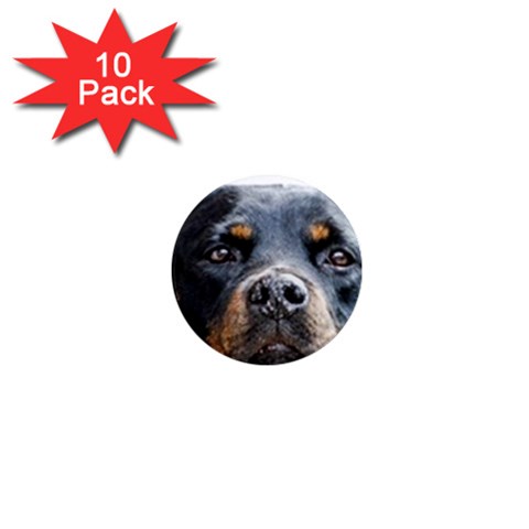 Rotwieller 1  Mini Magnet (10 pack)  from ArtsNow.com Front