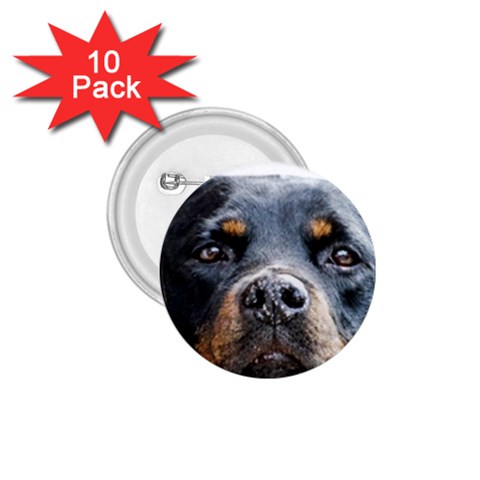 Rotwieller 1.75  Button (10 pack)  from ArtsNow.com Front