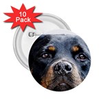 Rotwieller 2.25  Button (10 pack)