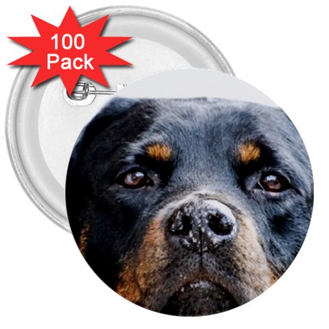 Rotwieller 3  Button (100 pack) from ArtsNow.com Front