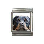 Rotwieller Italian Charm (13mm)