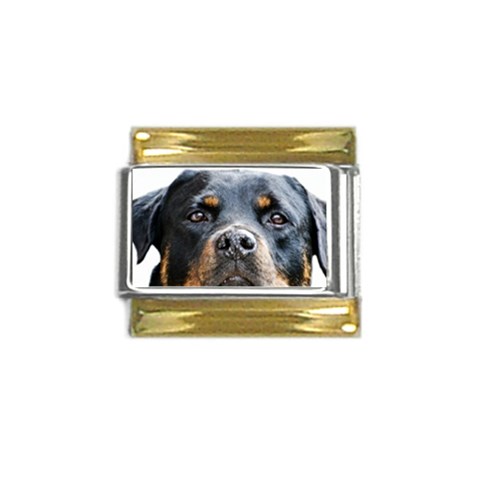 Rotwieller Gold Trim Italian Charm (9mm) from ArtsNow.com Front