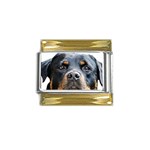 Rotwieller Gold Trim Italian Charm (9mm)