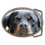 Rotwieller Belt Buckle