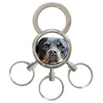 Rotwieller 3-Ring Key Chain
