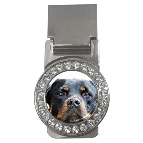 Rotwieller Money Clip (CZ) from ArtsNow.com Front