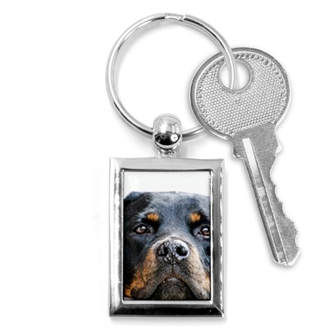 Rotwieller Key Chain (Rectangle) from ArtsNow.com Front