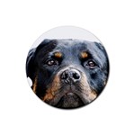 Rotwieller Rubber Coaster (Round)