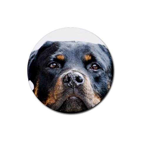 Rotwieller Rubber Round Coaster (4 pack) from ArtsNow.com Front