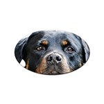 Rotwieller Sticker (Oval)