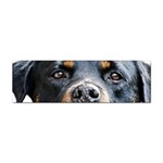 Rotwieller Sticker (Bumper)