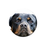Rotwieller Magnet 3  (Round)