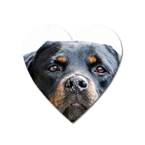 Rotwieller Magnet (Heart) from ArtsNow.com Front