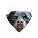 Rotwieller Magnet (Heart)