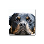 Rotwieller Magnet (Square)