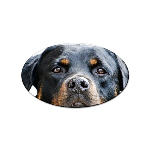 Rotwieller Sticker Oval (100 pack) from ArtsNow.com Front