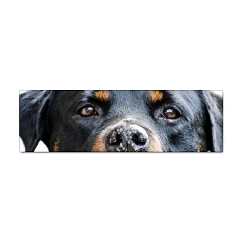 Rotwieller Sticker Bumper (100 pack) from ArtsNow.com Front